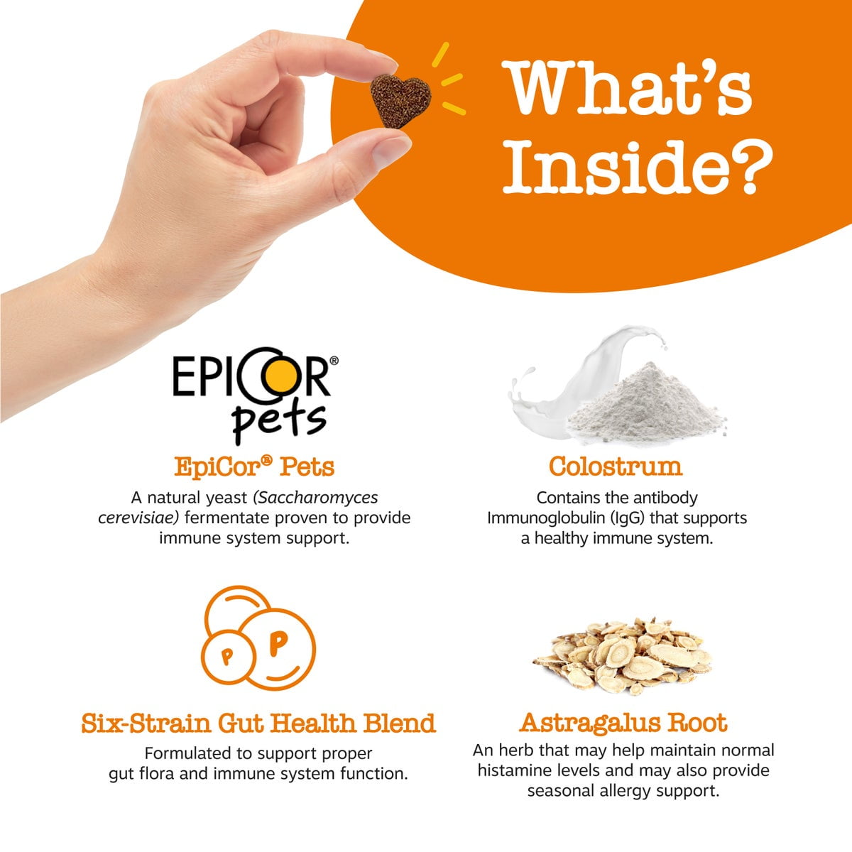 Allergy & Immune Bites for Dogs – 60 Soft Chews, Lamb Flavor – Allergy Relief & Immune Support