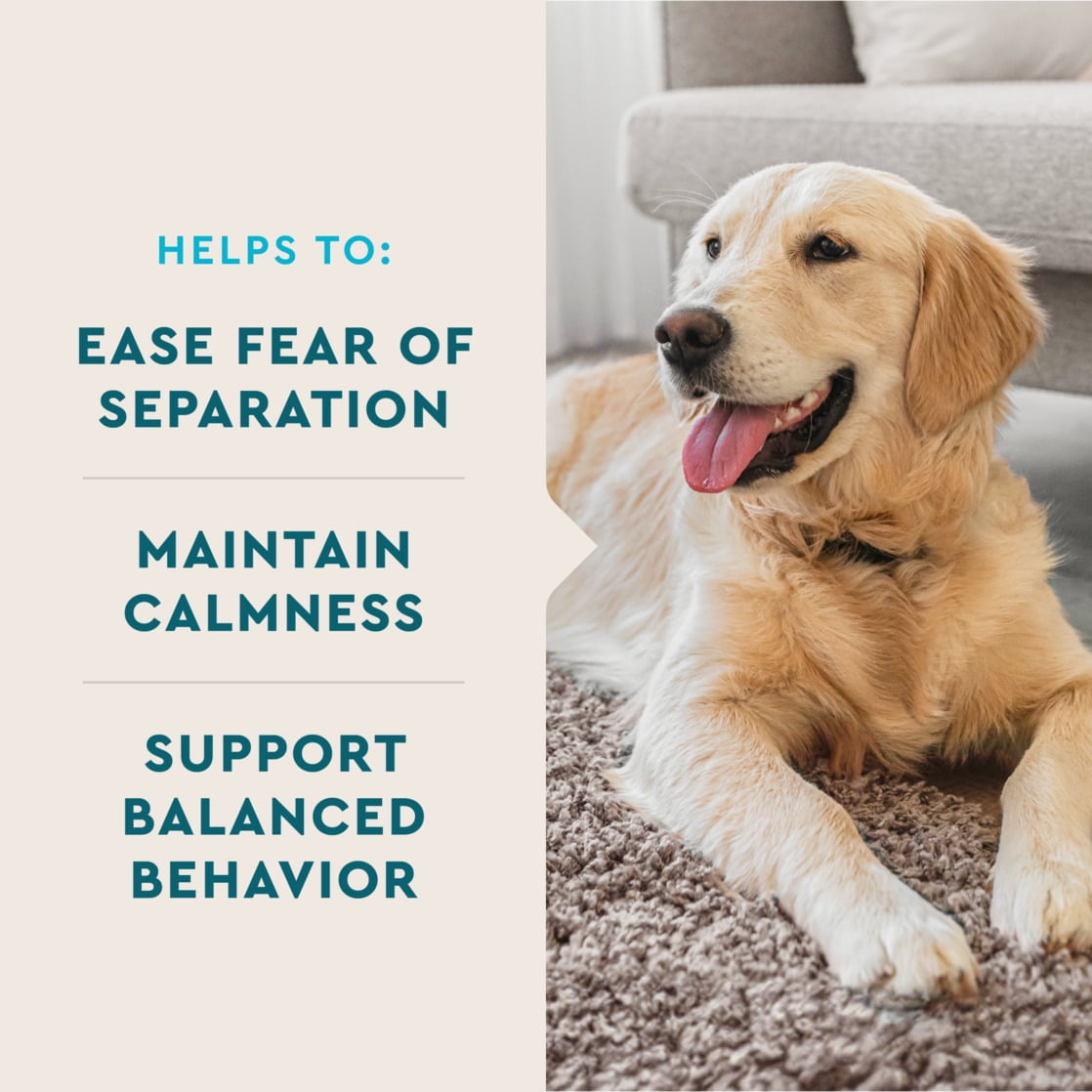 (3 Pack) Natural Calming Chews for Dogs – 60 Soft Chews Each – Anxiety & Stress Relief