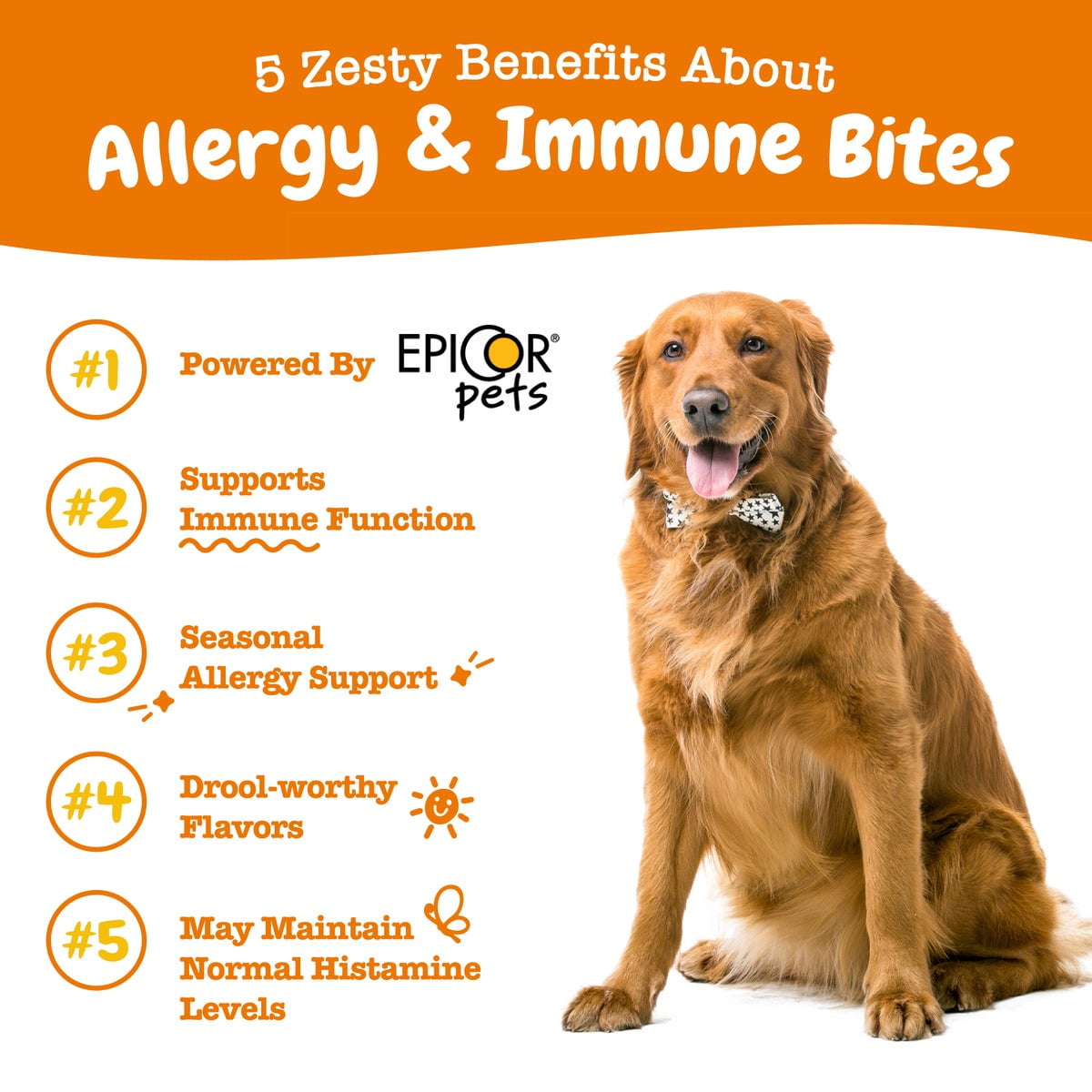 Allergy & Immune Bites for Dogs – 60 Soft Chews, Lamb Flavor – Allergy Relief & Immune Support