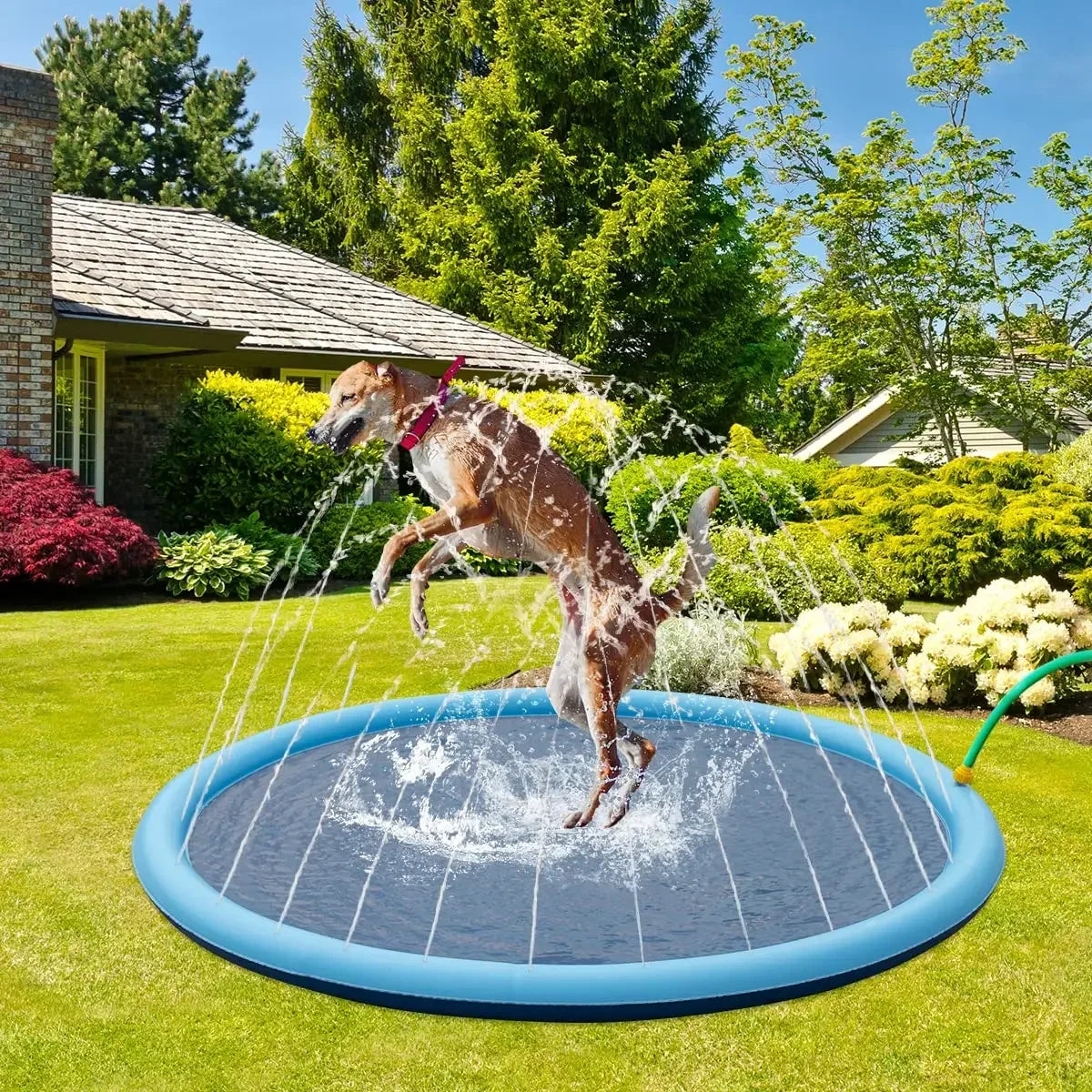 Dog Sprinkler Pad for Summer – Outdoor Cooling Mat, Interactive Fountain, Splash Pool Toy for Dogs & Puppies