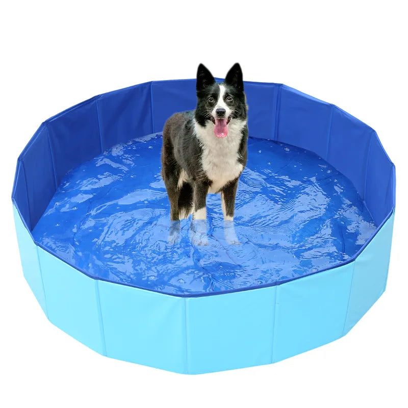Foldable Pet Pool – Summer Bath Tub for Cats & Small Dogs with Fun Sea Animal Design